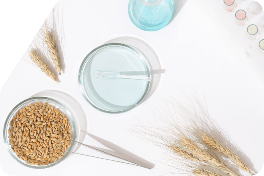 azienda-teamReD-changeingredients-casillo-grano